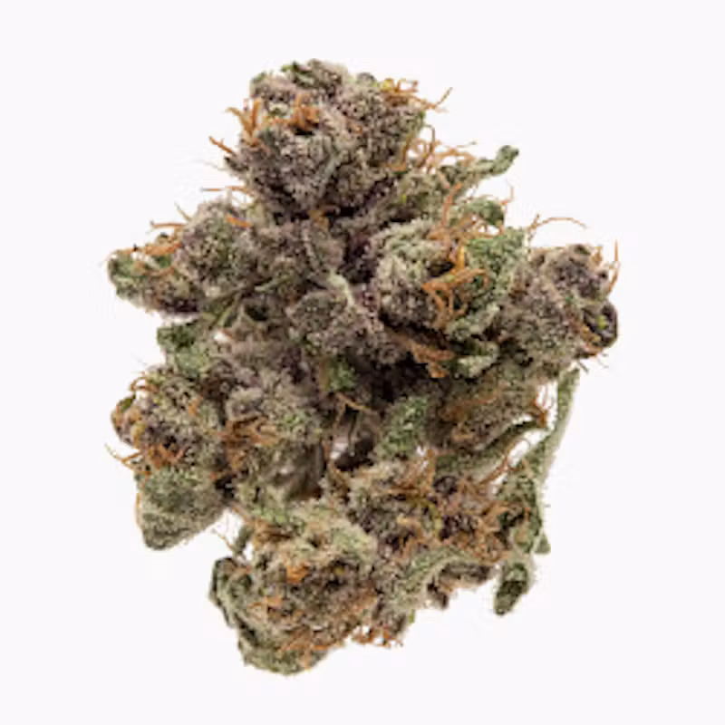 Moonlight Society — Exotic Indica | 14g Privet Reserve