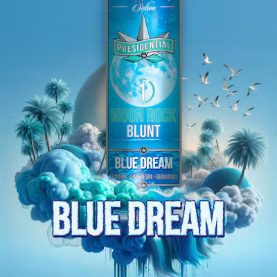 Blue Dream | Moon Rock Infused Blunt | 1.5g