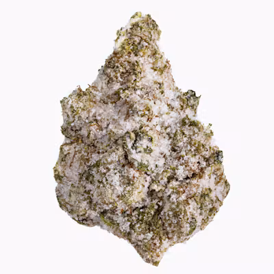 Garlic Cookies - 14G Diamond Infused Premium Flower